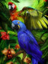 Tropical Birds - Paint by Diamonds